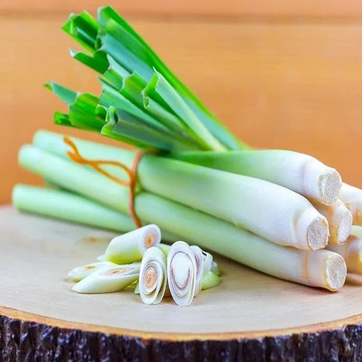 Lemon Grass Live Plants - 2 Per Pot, 10 Tall, 4 Pot, Fresh Herb