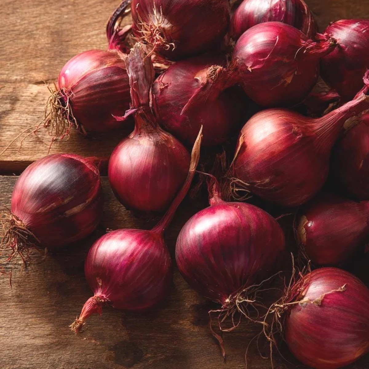 Red Creole Onion Seeds - 200 Count Heirloom Short Day Allium cepa for Gardens