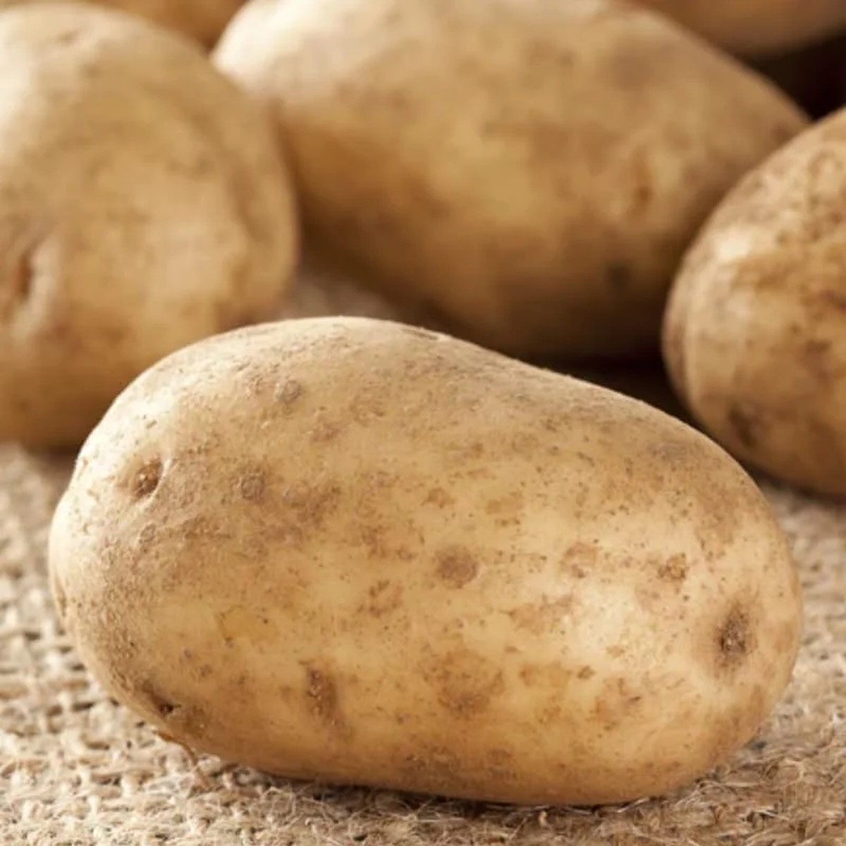 60 Russet True Potato Seeds - Heirloom for Outdoor Growing