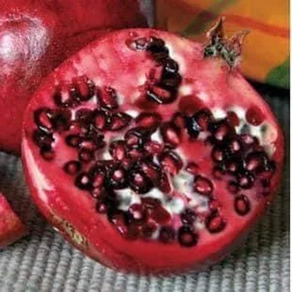 Wonderful Pomegranate Live Plant - 6 inch Nursery Pot - Edible Fruit Tree