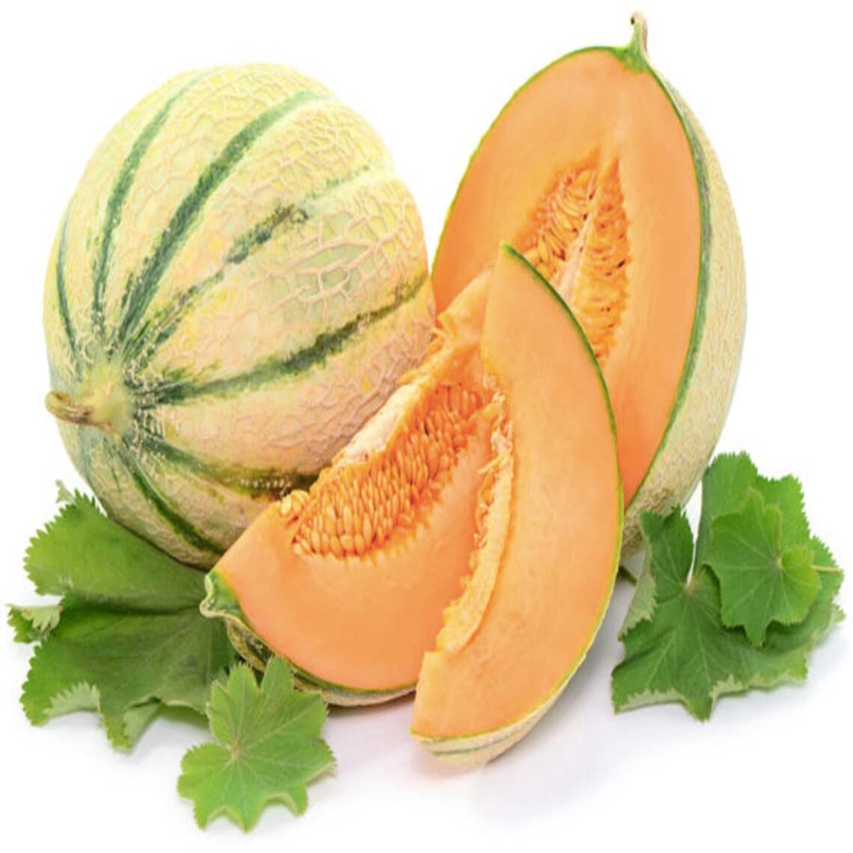 Charentais Cantaloupe Melon Seeds Heirloom Netted Musk Melon with Sweet Orange Flesh for Home Garden Planting