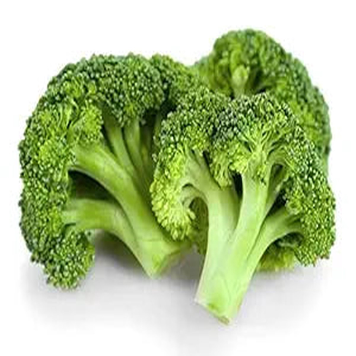 Chinese Broccoli Gai Lan Seeds for Planting Heirloom, Fast-Growing Asian Vegetable