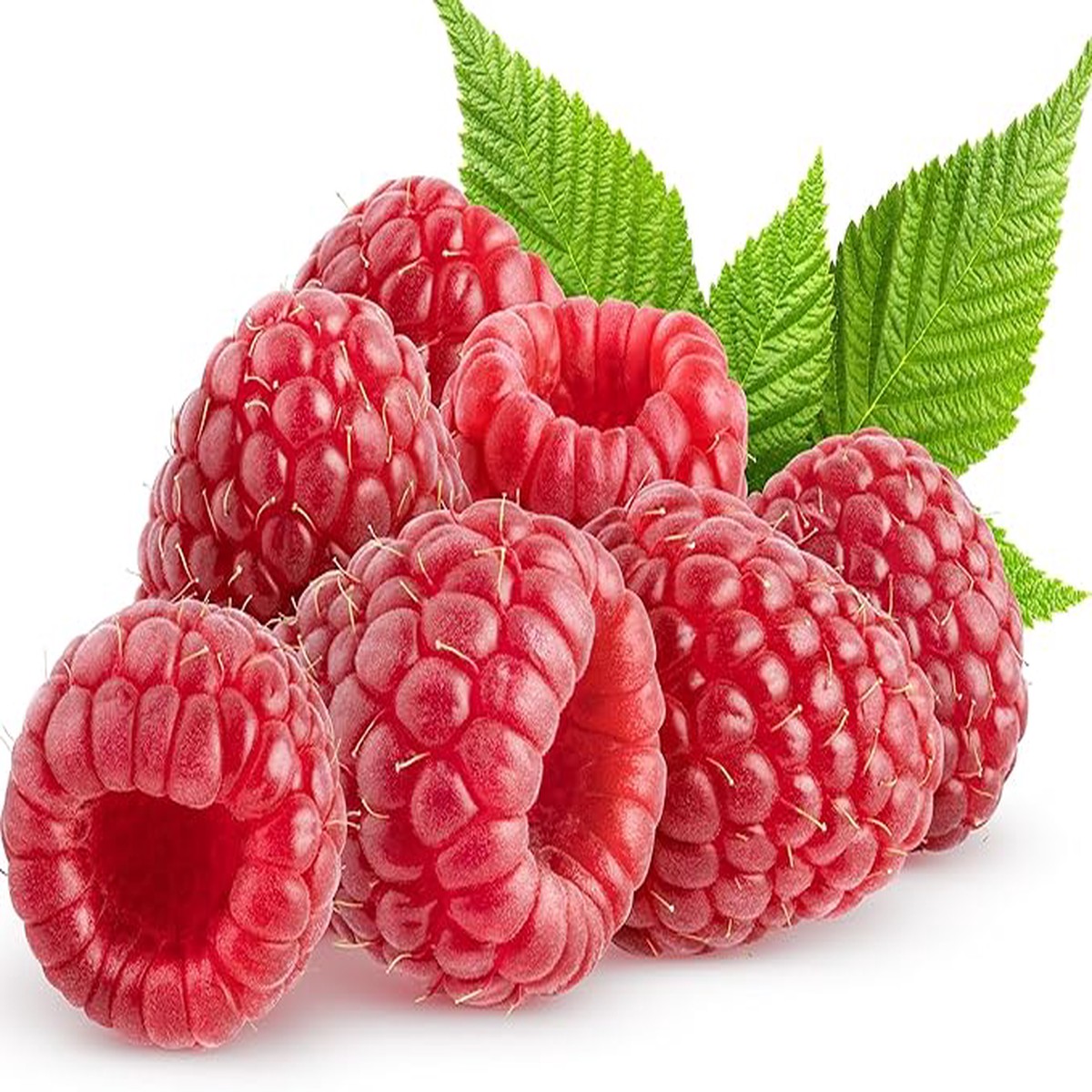 Raspberry Heritage Seeds Heirloom, Non-GMO, High-Yield Fruit for Garden Planting