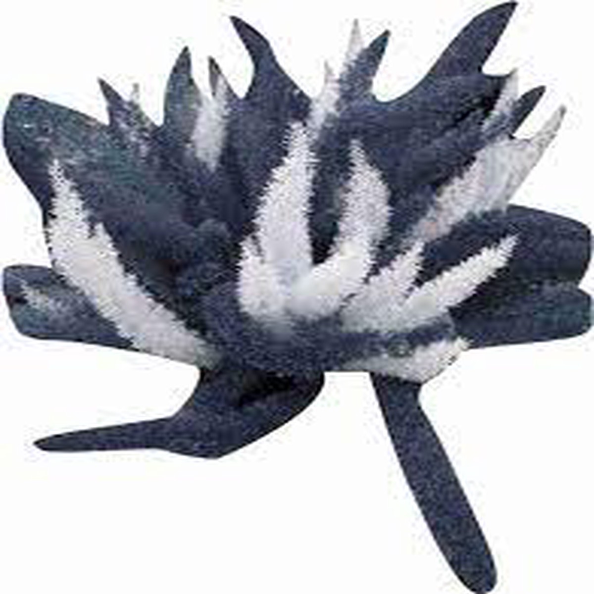 Futaba Perennial Foxtail Fern Seeds White & Greyish Heirloom, Non-GMO, High Germination Organic Garden Seeds for Planting