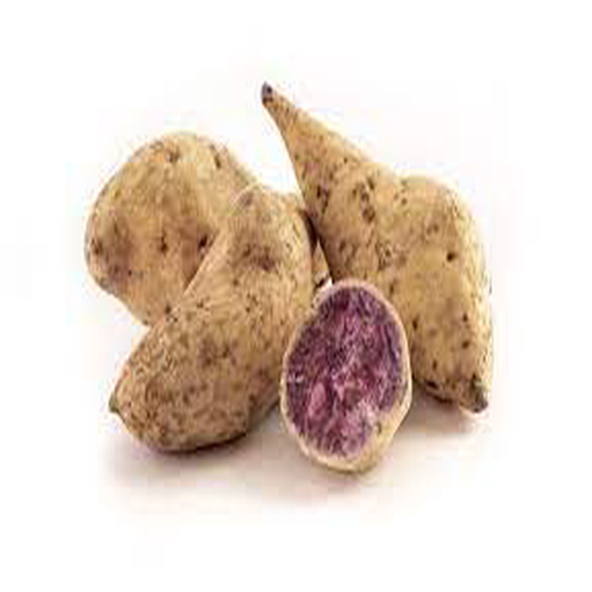Okinawa Sweet Potato Seeds for Gardening Heirloom, Non-GMO, High Germination Organic Garden Seeds