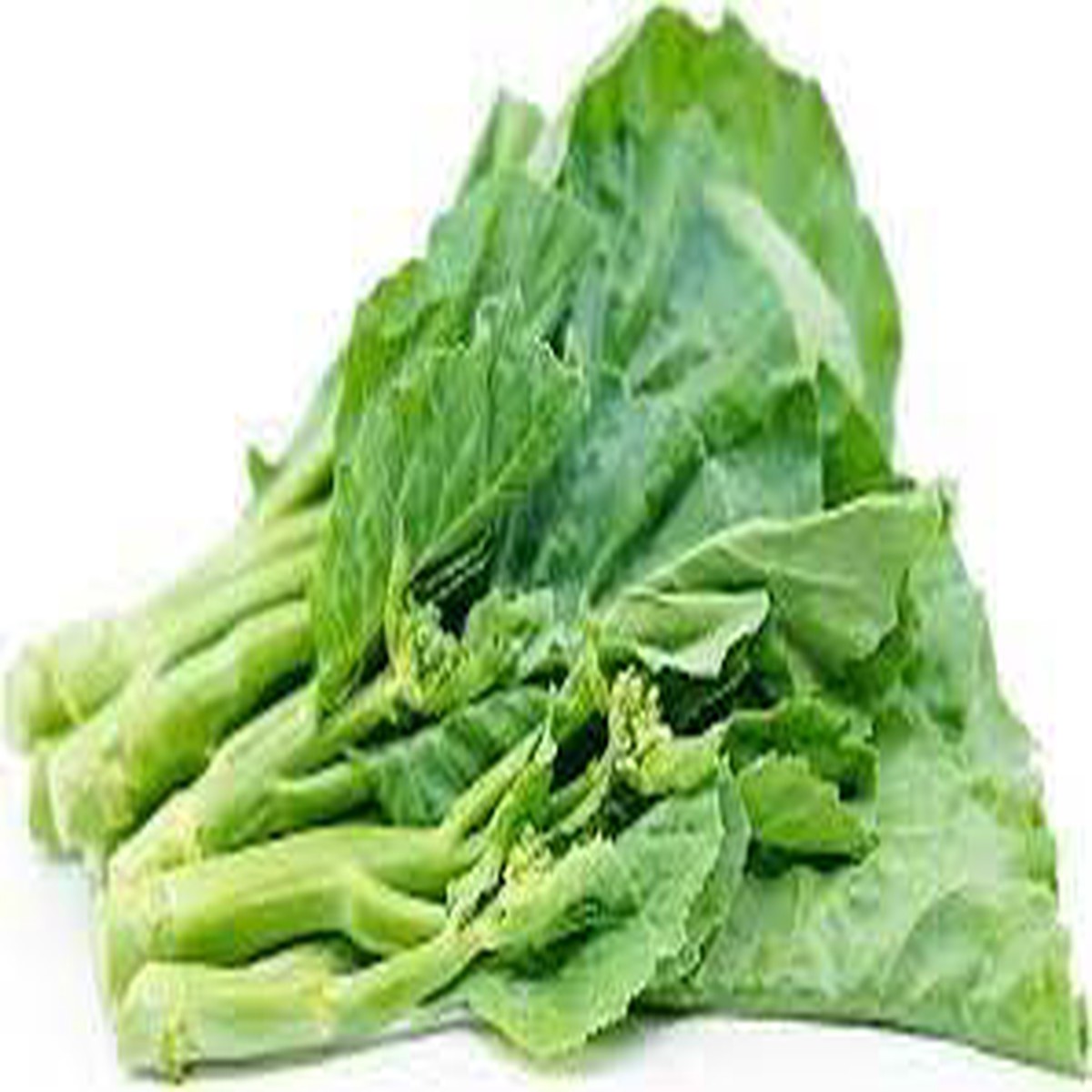 Heirloom Gailan Vegetable Seeds for Planting Non-GMO, Organic Garden Seeds with High Germination