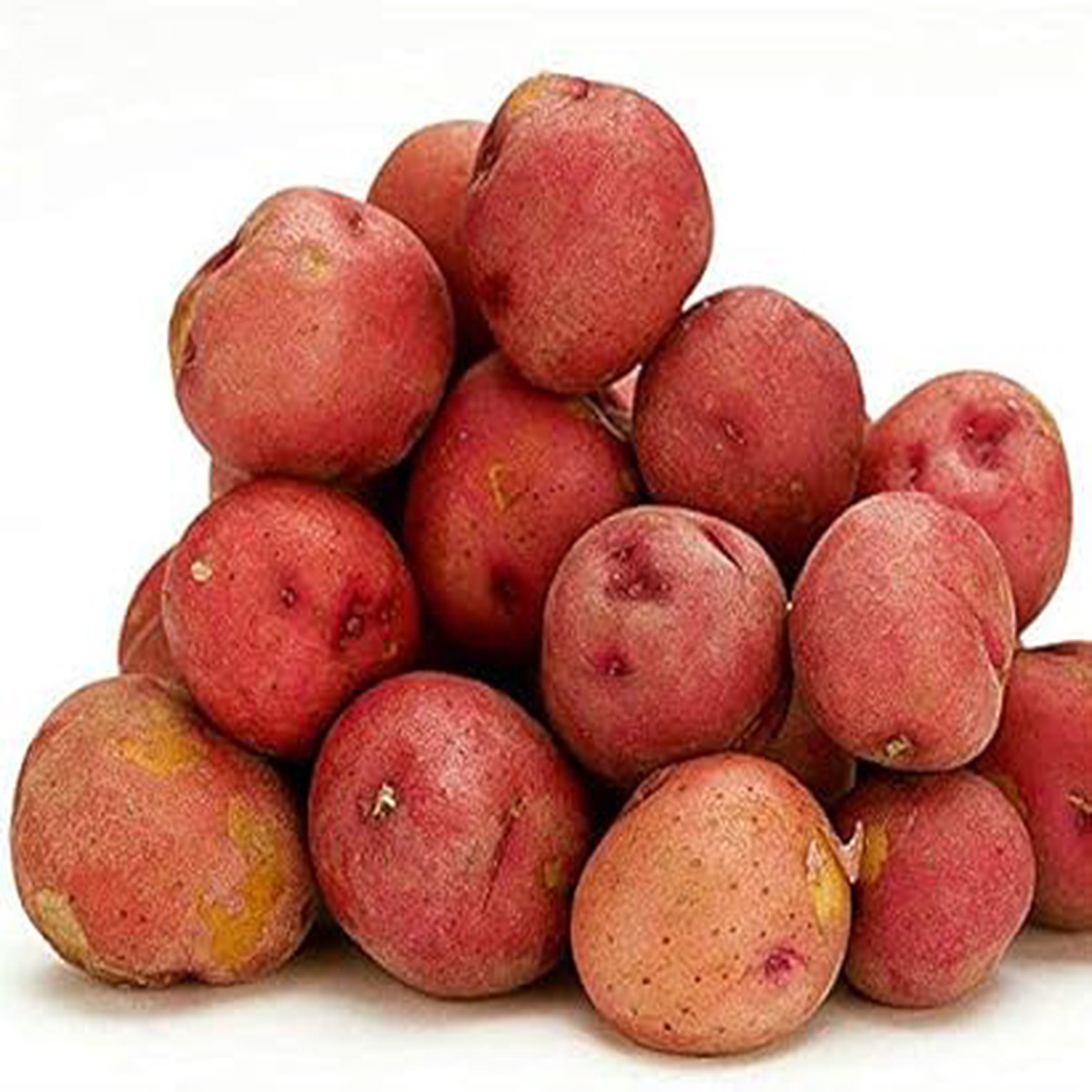 Red Potato Vegetable Seeds for Planting - Heirloom, Non-GMO, Organic Garden Seeds, High Germination