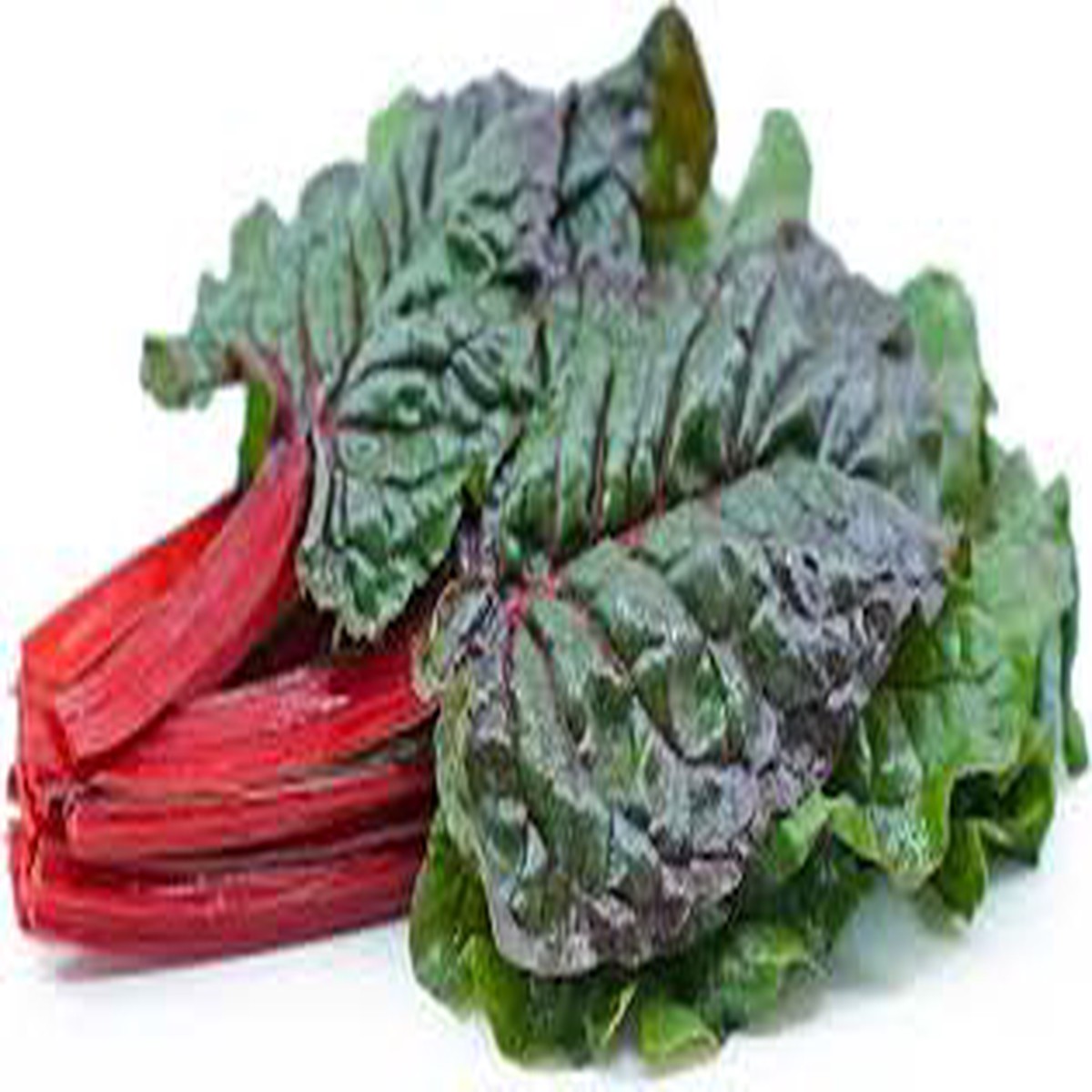 Red Swiss Chard Vegetable Seeds for Planting heirloom & Non-GMO Seeds