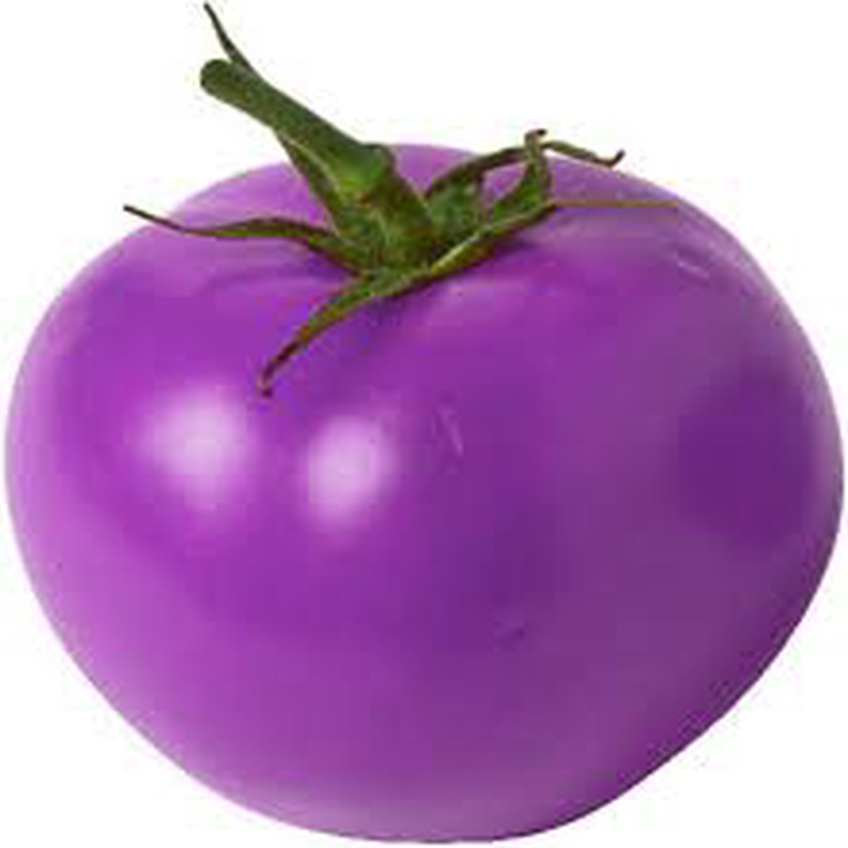 Lavender Tomato Seeds for Planting Heirloom, Non-GMO, High Germination Organic Garden Seeds for Unique Tomatoes