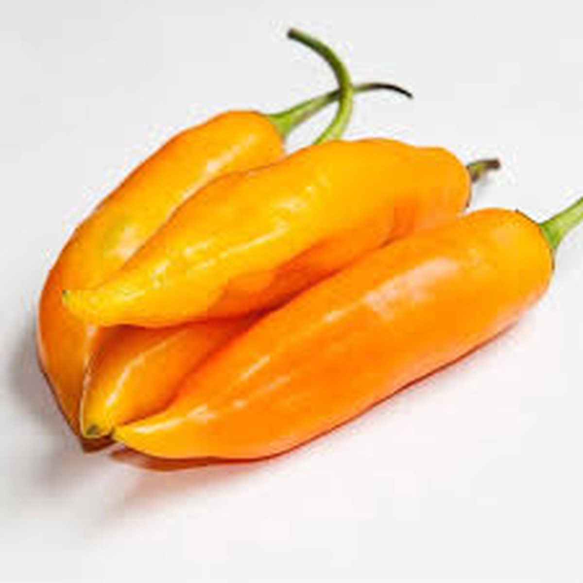 Aji Amarillo Seeds for Planting Heirloom, Non-GMO, High Germination Organic Garden Seeds for Flavorful Chili Peppers