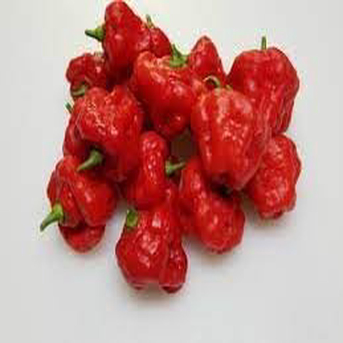 Aji Pepper Vegetable Seeds for Planting Heirloom, Non-GMO, Organic Garden Seeds with High Germination