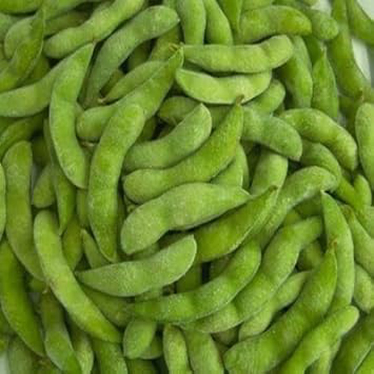Green Soybean Seeds for Planting Heirloom, Non-GMO, High Germination Organic Garden Seeds