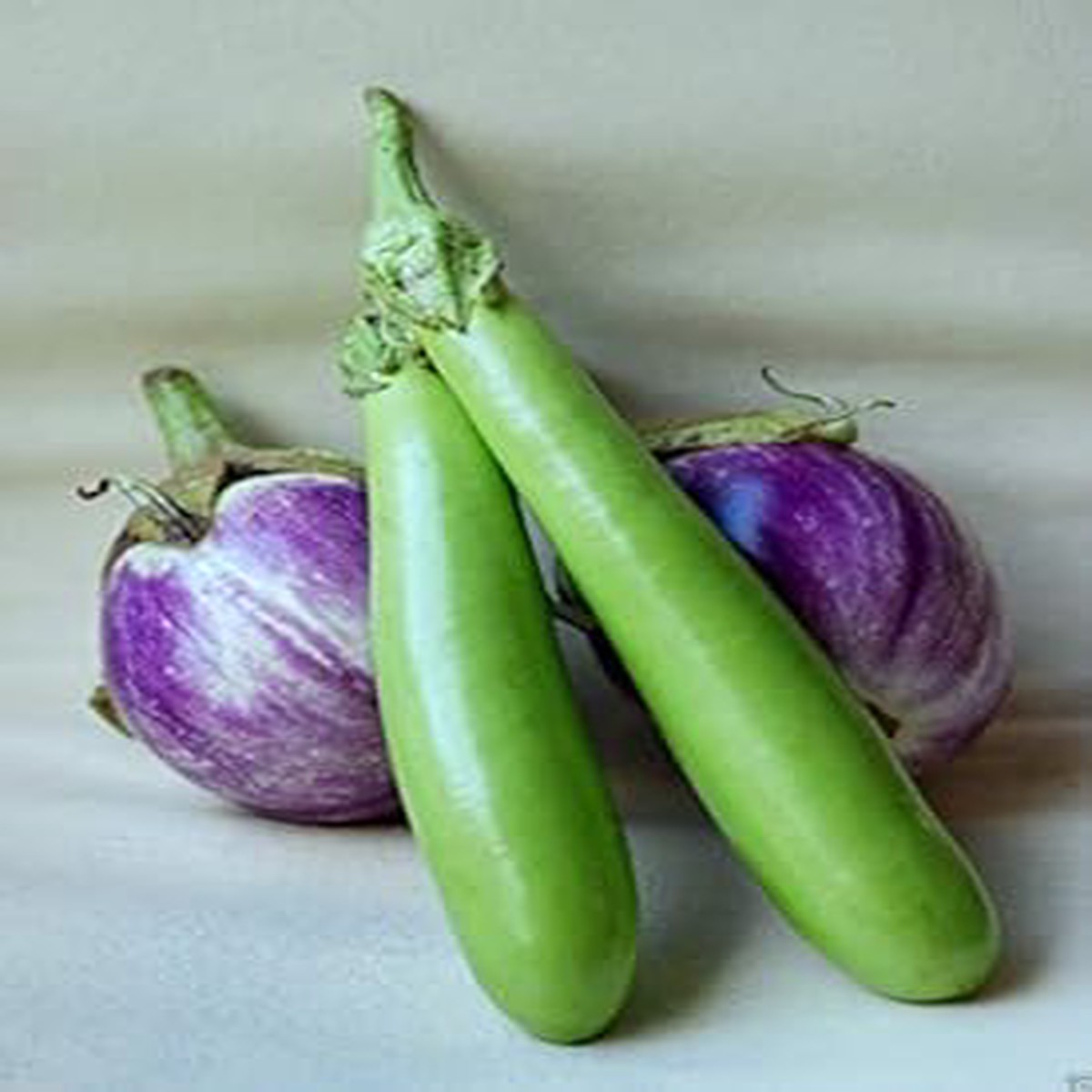 Green Violet Eggplant Seeds for Planting Heirloom, Non-GMO, High Germination Organic Garden Seeds