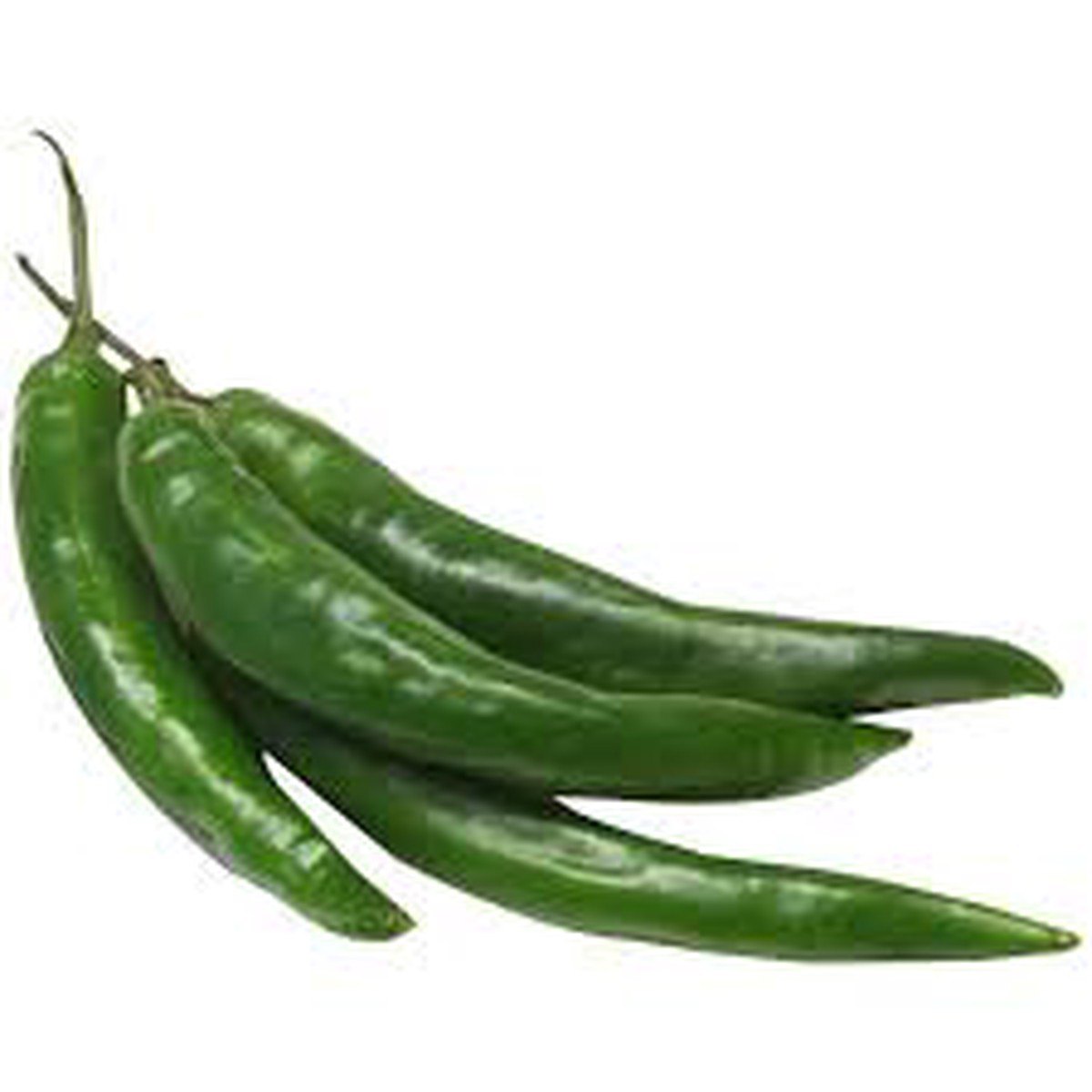Green Chili Seeds for Planting Heirloom, Non-GMO, Spicy High Germination Organic Vegetable Garden Seeds
