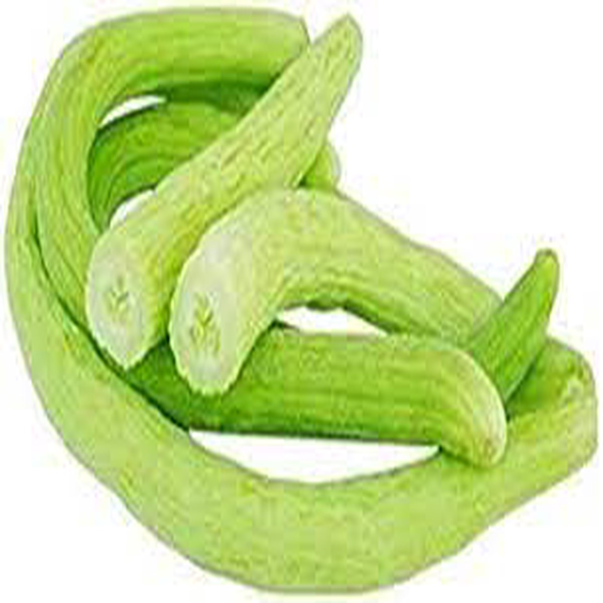 Green Long Melon Seeds for Planting Heirloom Non-GMO, High Germination Organic Garden Seeds for Fresh Vegetables