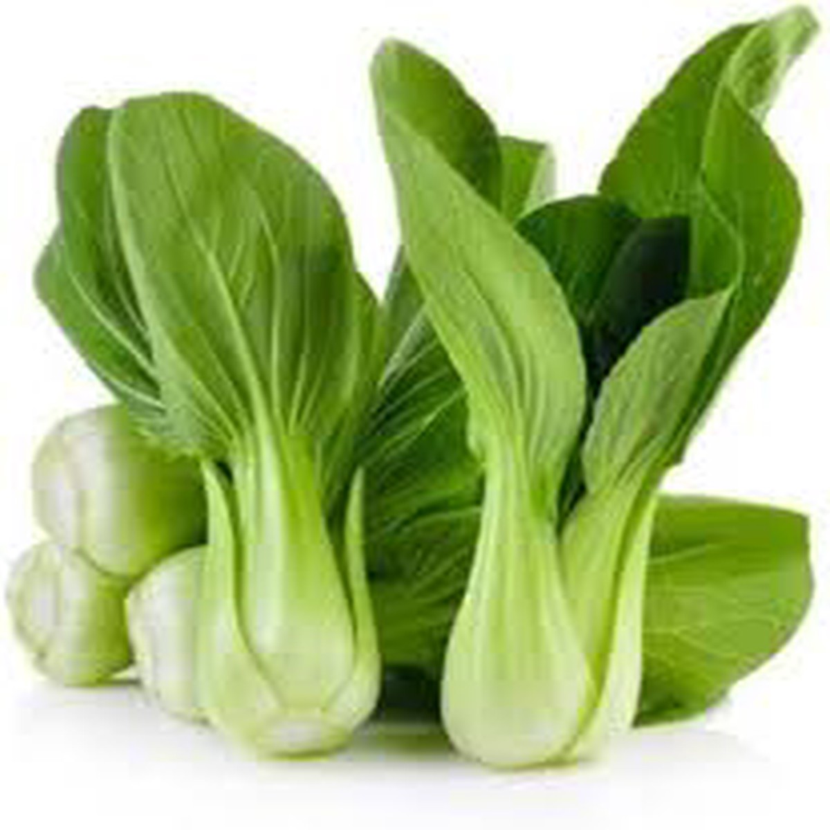Green Pak Choi Baby Seeds for Planting Heirloom, Non-GMO, Organic Garden Seeds, High Germination
