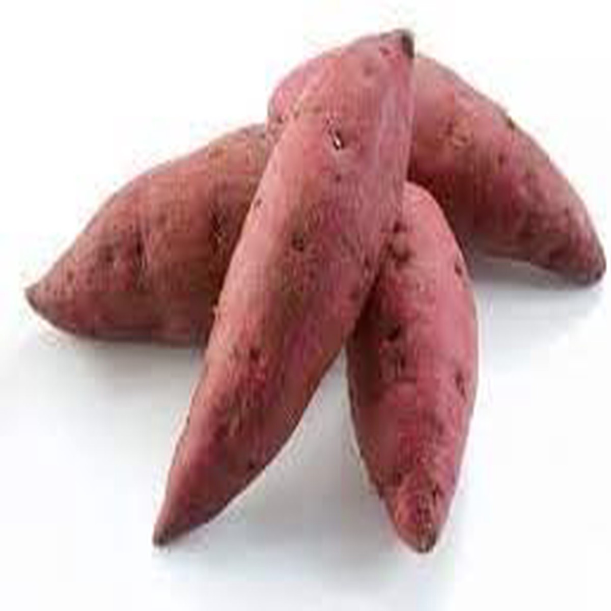 Sweet Potato Seeds for Planting Healthy Vegetable, Heirloom, Non-GMO, Organic Garden Seeds, High Germination