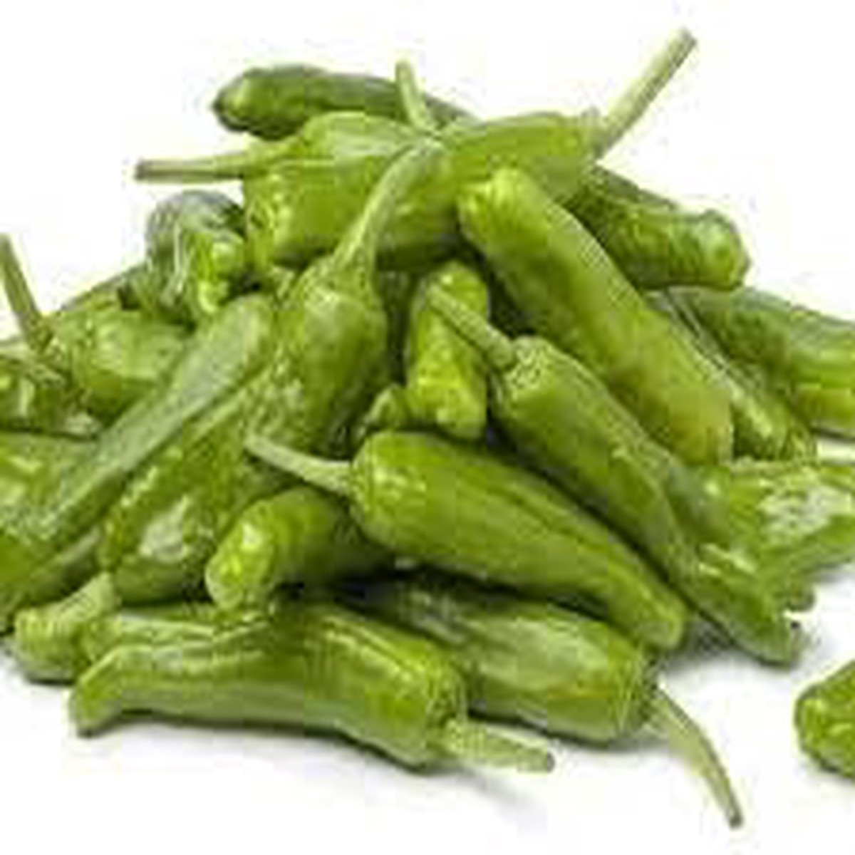 Heirloom Non-GMO Shishito Pepper Vegetable Seeds 100 pcs Organic Garden Seeds for Planting