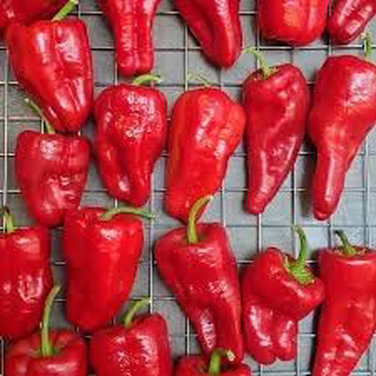Leutschauer Pepper Seeds for Vegetable Planting 100 pcs Heirloom, Non-GMO, High Germination Organic Garden Seeds