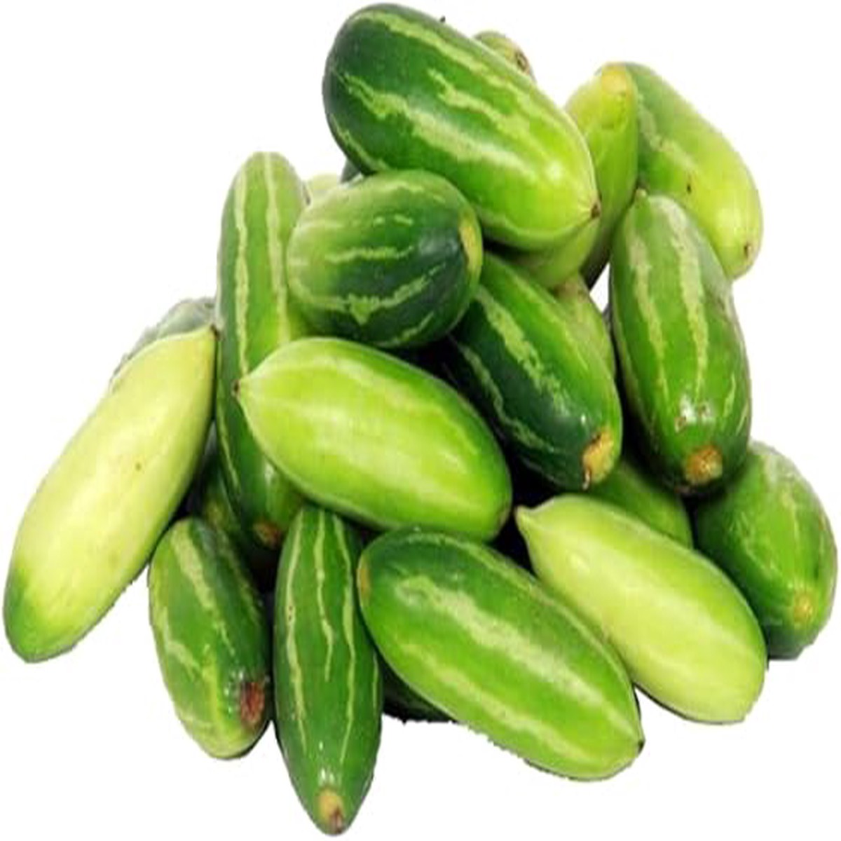 Ivy Gourd Seeds for Planting Organic Climbing Vegetable Vine for Home Garden & Backyard Farming
