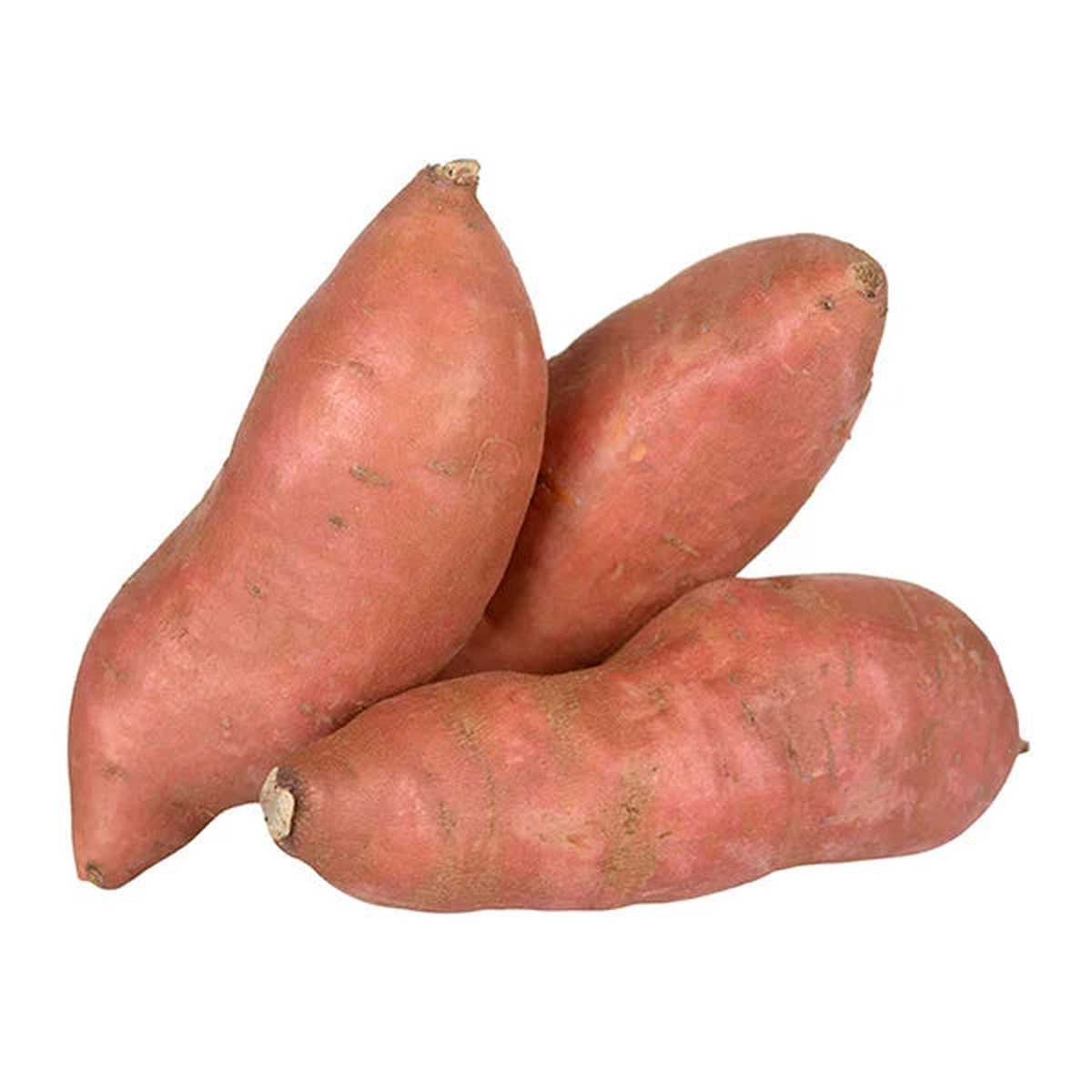 Giant Sweet Potato Vegetable Seeds for Planting - Heirloom Non-GMO Organic Garden Seeds, High-Yielding
