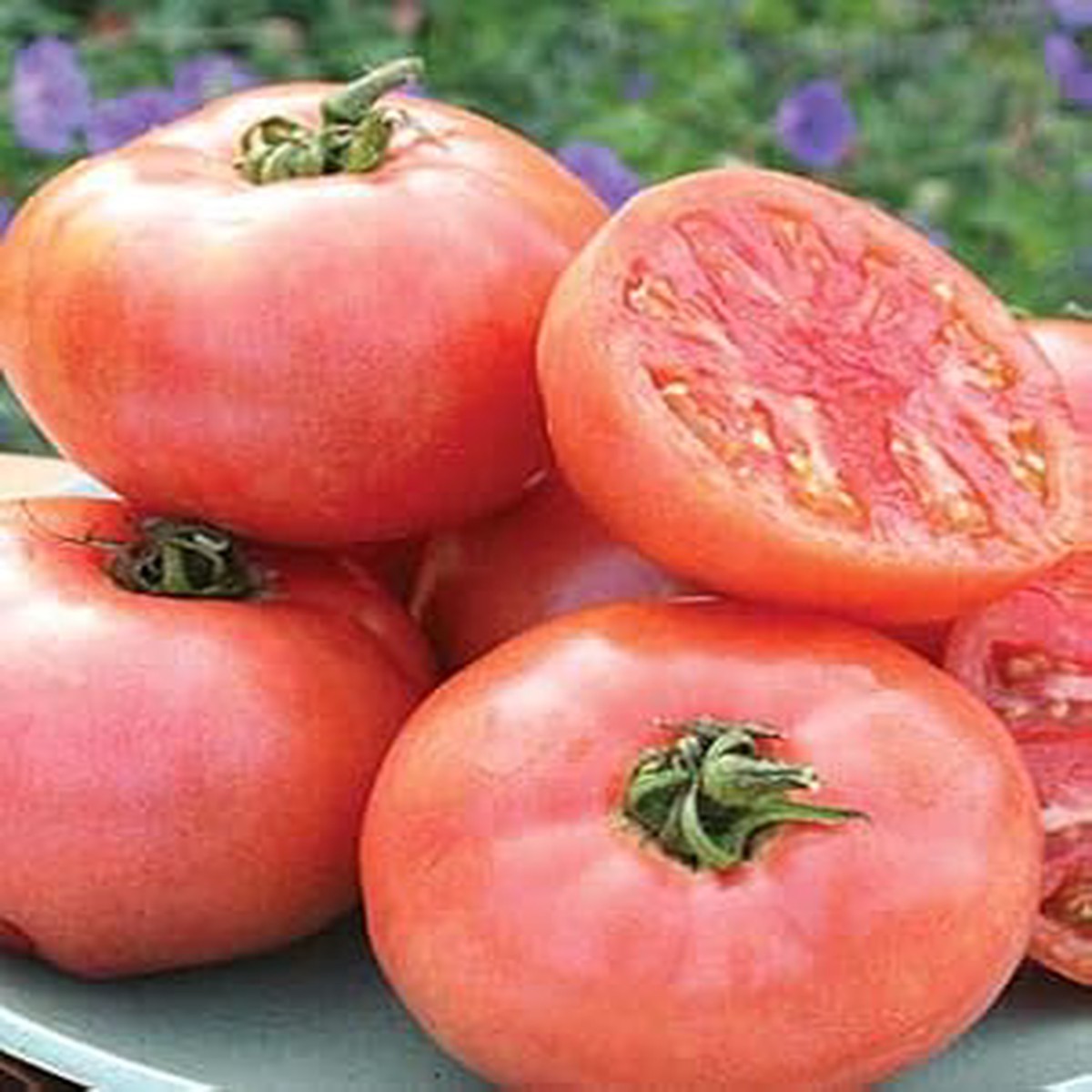 Pale Pink Big Tomato Seeds for Planting Heirloom, Non-GMO, High Germination Garden Seeds