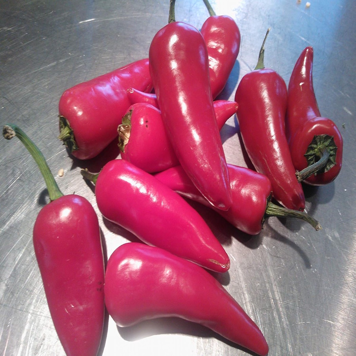 Pink Chili Brazilian Seeds for Planting Heirloom, Non-GMO, Organic Garden Seeds, High Germination