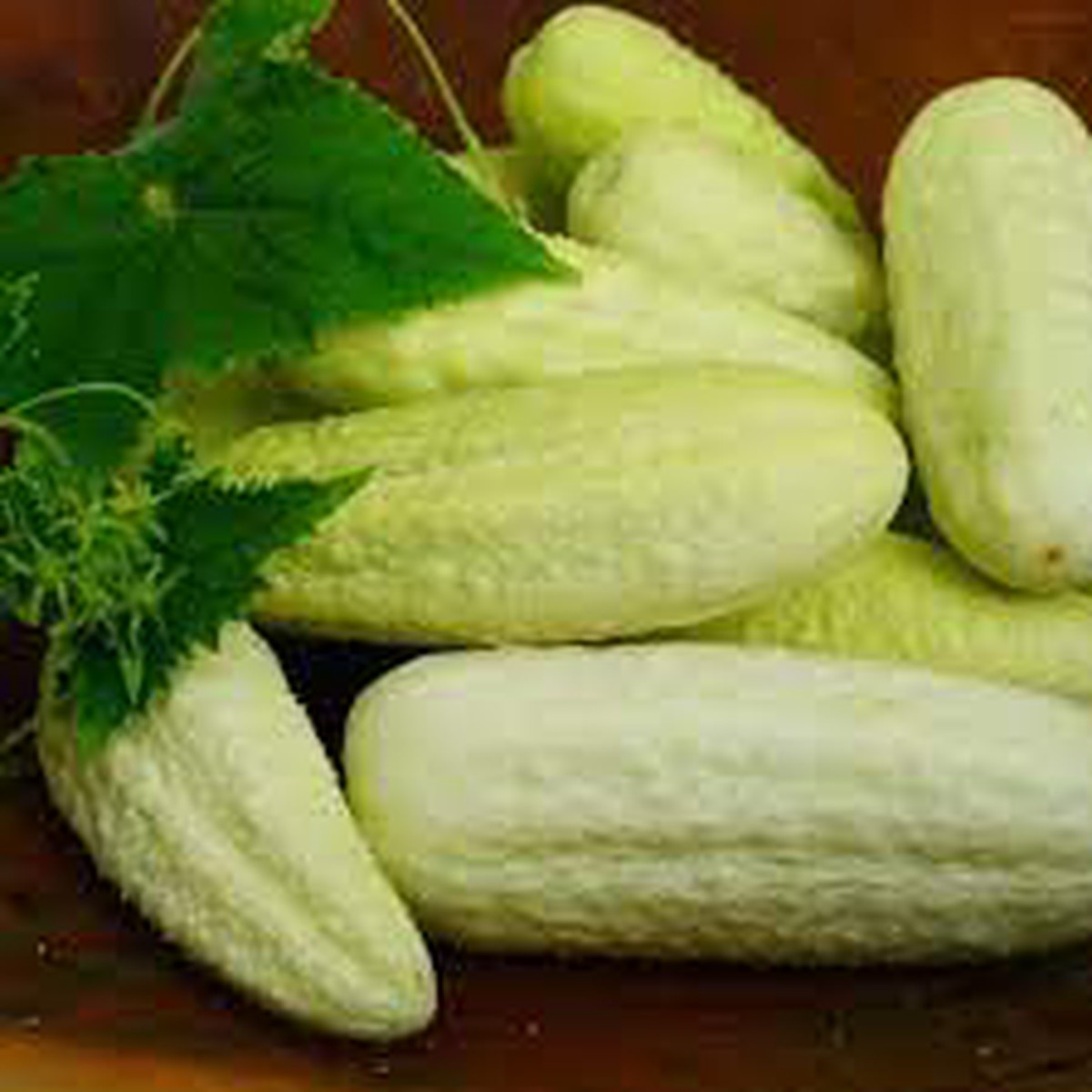 White Wonder Armenian Cucumber Seeds for Planting Heirloom, Non-GMO, Organic Garden Seeds, High Germination