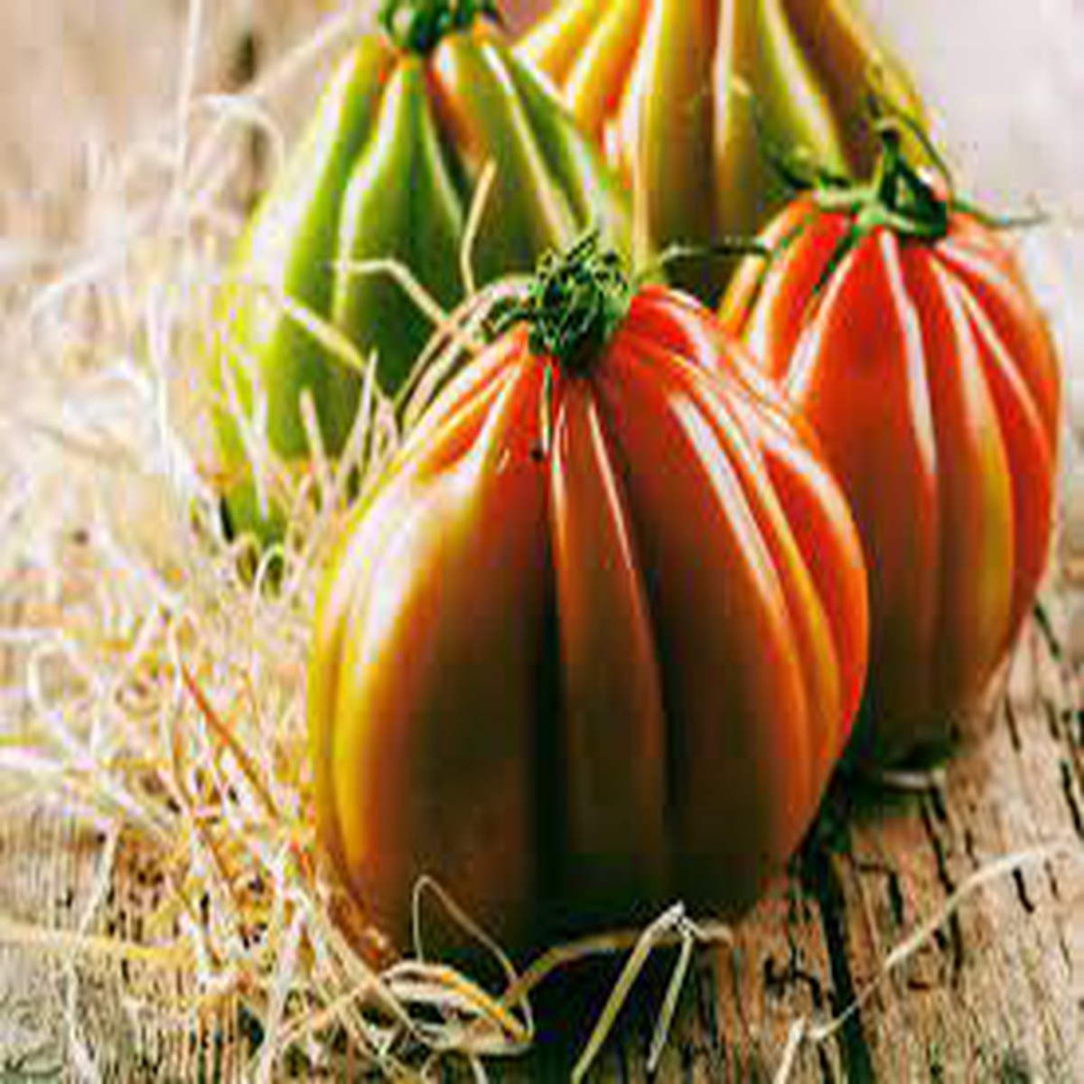 Heirloom Mixed Color Oxheart Tomato Vegetable Seeds for Planting Non-GMO, High Germination Organic Seeds