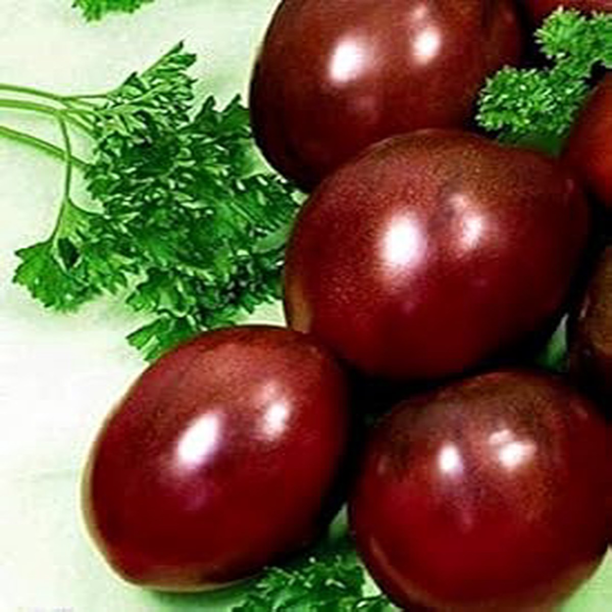 Maroon Red Tomato Seeds for Planting Heirloom, Non-GMO, Organic Garden Seeds, High Germination
