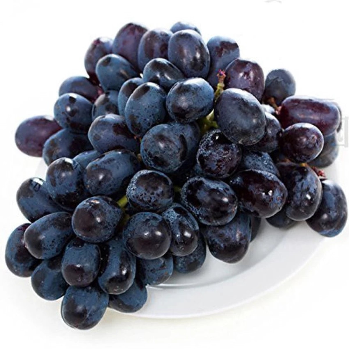 Actinidia Polygama Jaboticaba Black Brazilian Grape Fruit Seeds for Planting Heirloom Non-GMO High Germination Seeds