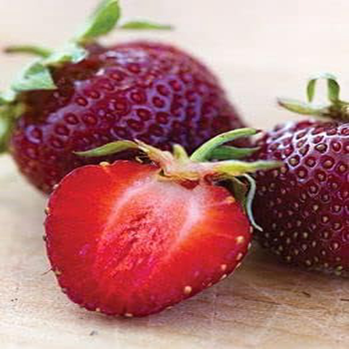 Burgundy Strawberry Fruit Seeds for Planting Heirloom Non-GMO High Germination Organic Garden Seeds