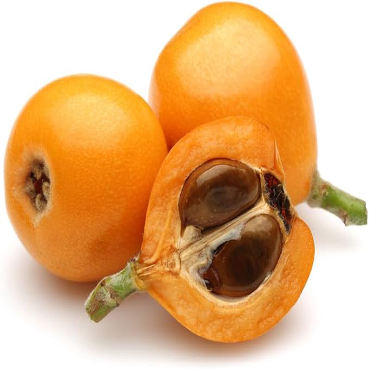 Loquat Shrub Seeds Eriobotrya Japonica Heirloom Non-GMO Seeds for Garden Planting