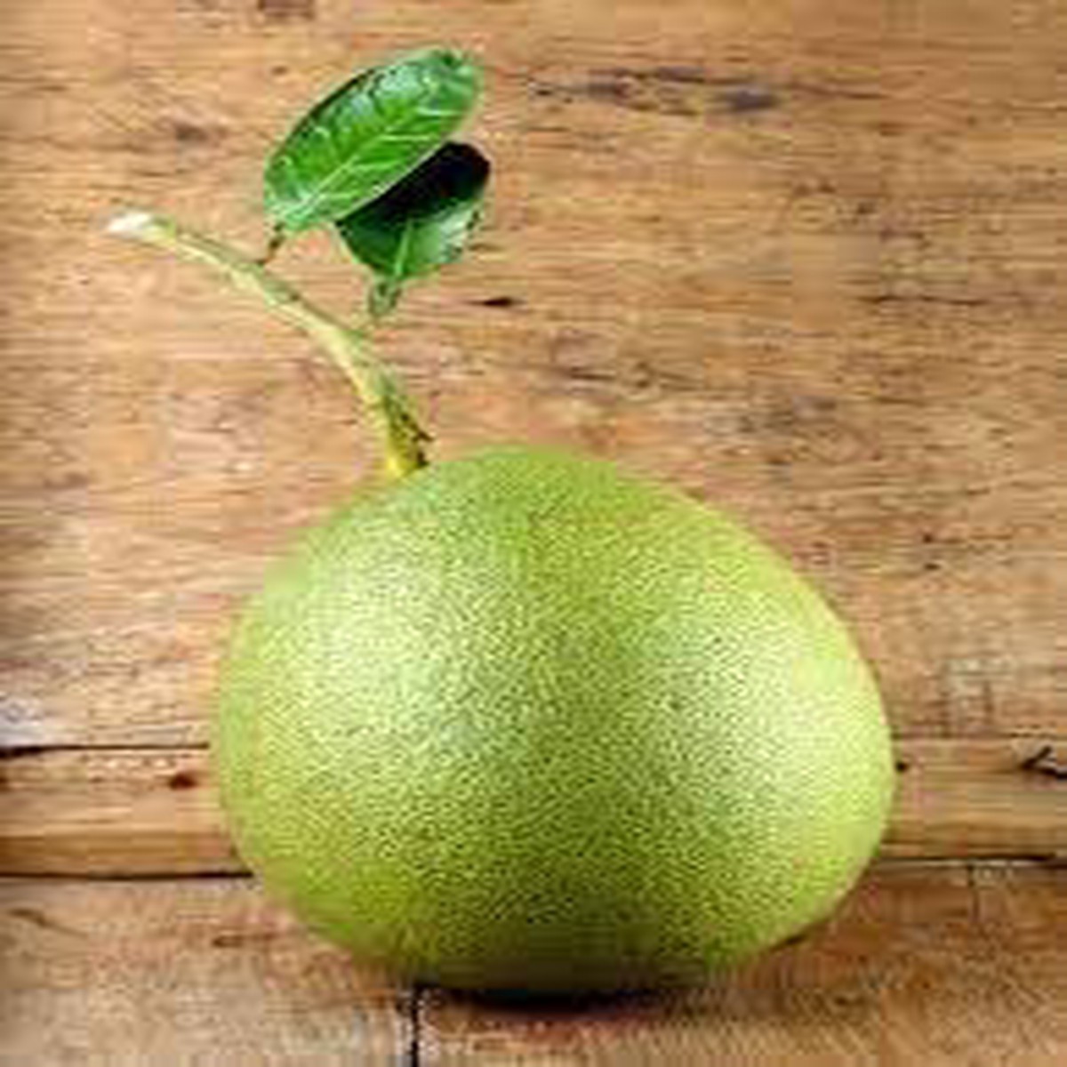 Melon Pinonet Fruit Seeds for Planting Heirloom & Non-GMO Seeds for Tropical, Refreshing Home Garden Fruits