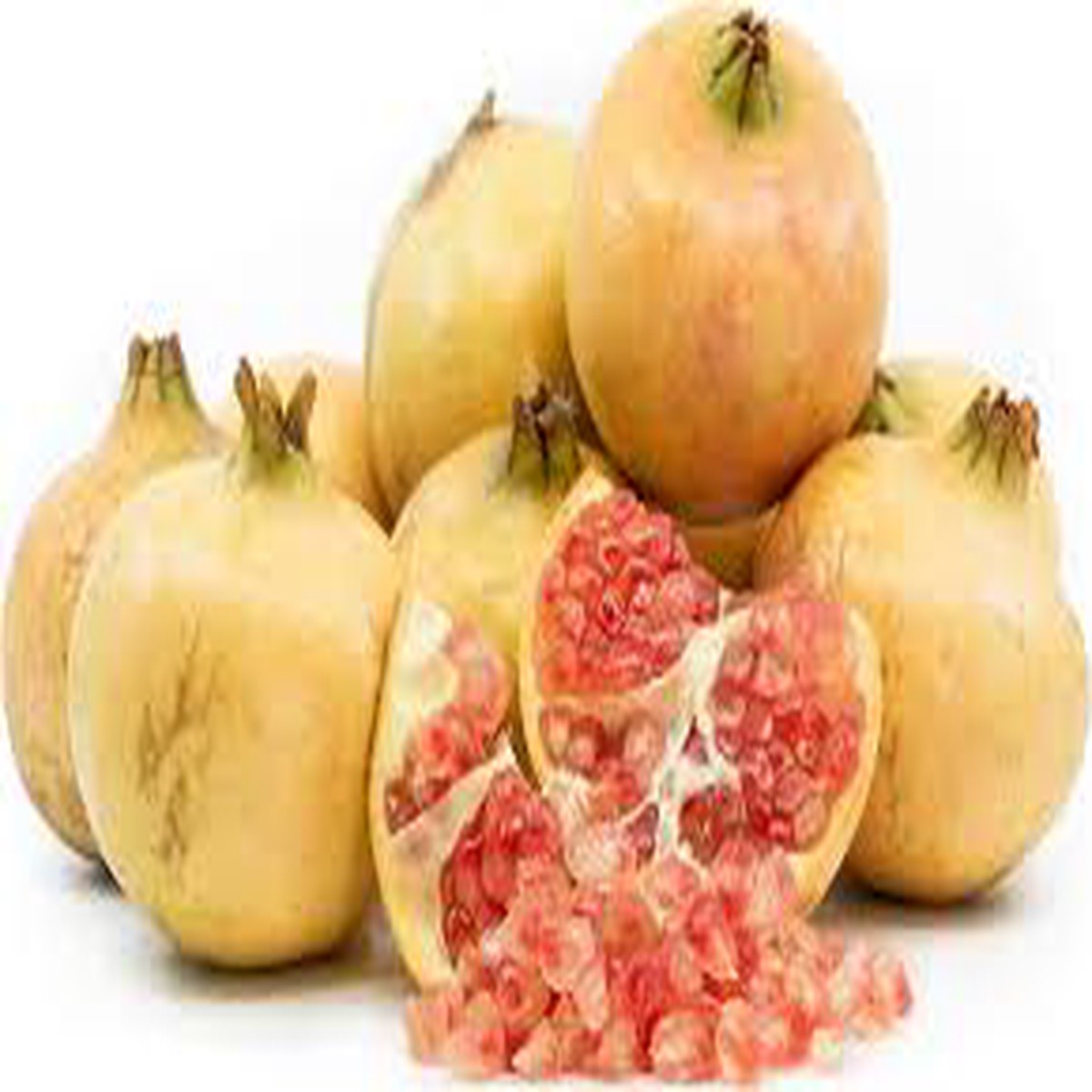 Muscat White Pomegranate Fruit Seeds Rare, Super Soft & Sweet Variety for Indoor or Outdoor Growing