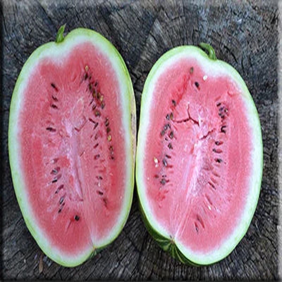 Dakota Rose Watermelon Fruit Seeds for Planting Sweet Summer Treat for Your Backyard, Heirloom & Non-GMO Seeds