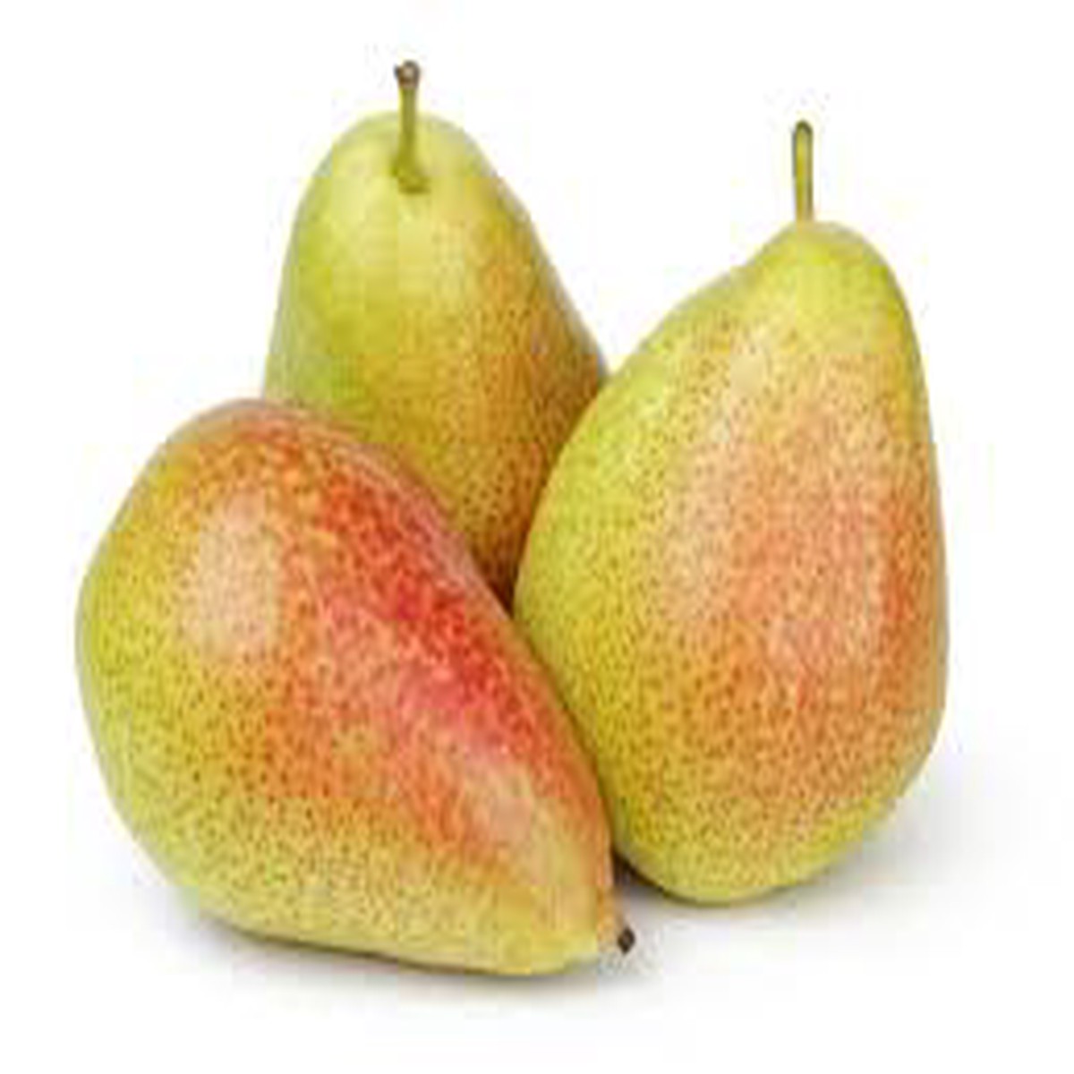 Forelle Pear Fruit Seeds Heirloom & Non-GMO Seeds for Growing Unique Pears in Your Home Garden