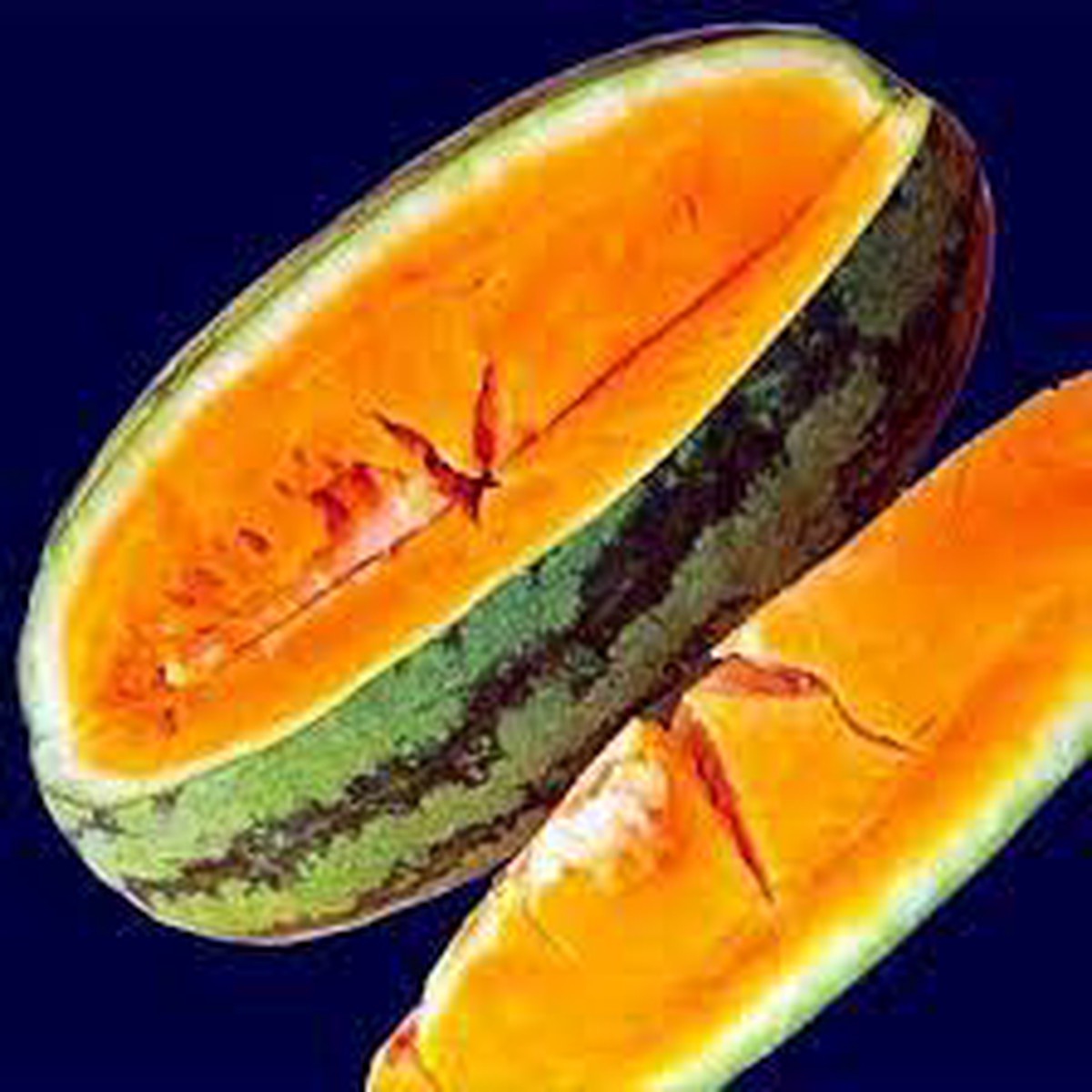 Orange Cantalupo Almizcle Melon Seeds Unique Sweet Orange Melon, Heirloom & Non-GMO Seeds for Home Garden