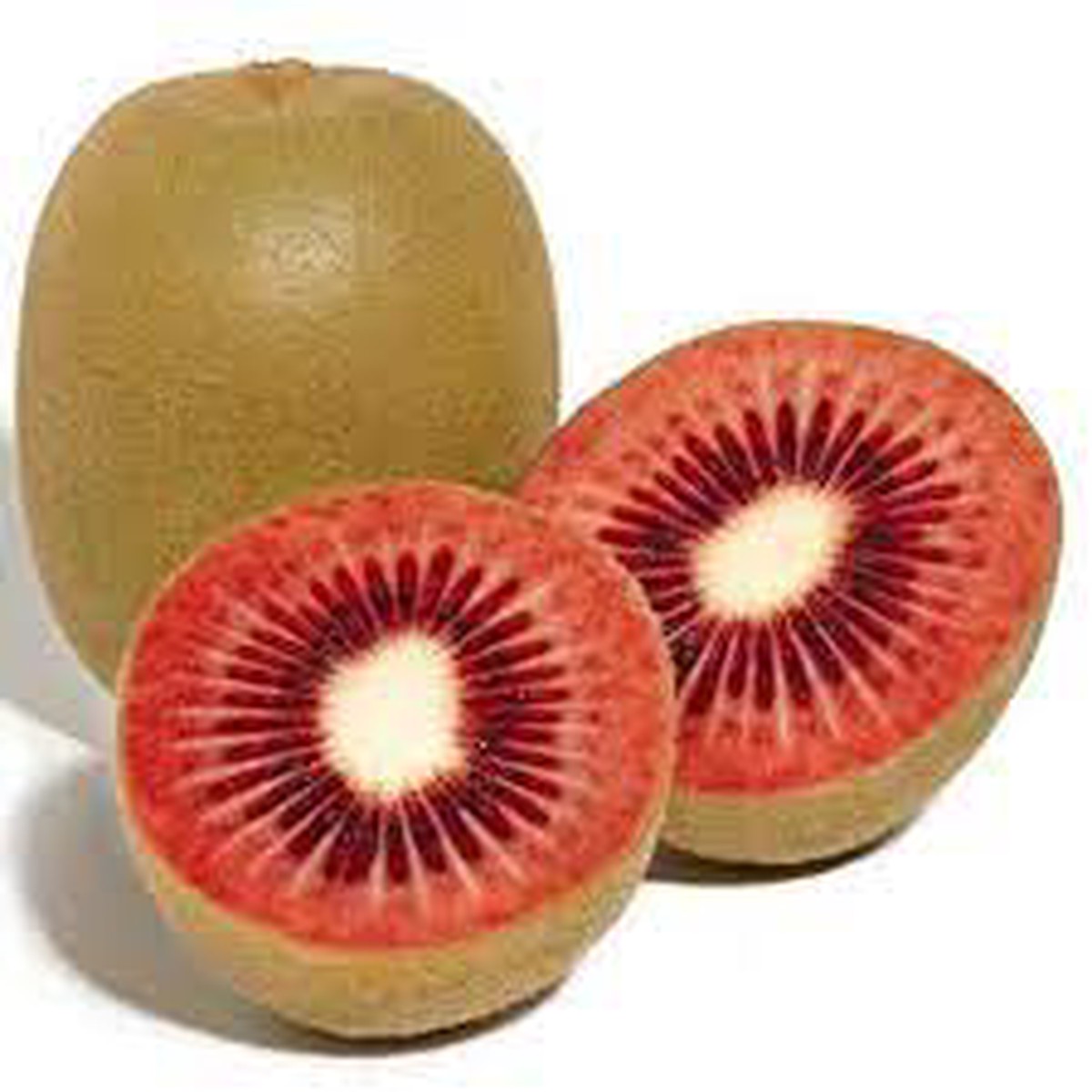 Ruby Red Kiwi Fruit Seeds for Planting Heirloom Non-GMO High Germination Organic Garden Seeds