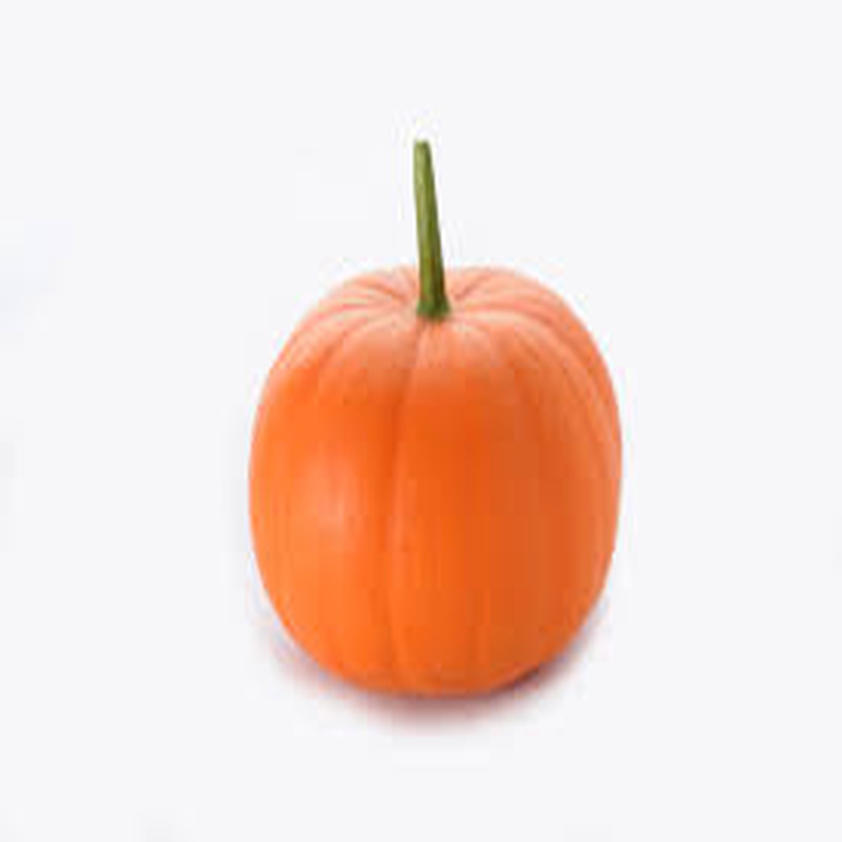 Pumpkin Almond Baby Bear F1 Seeds for Planting Organic, Non-GMO, Heirloom-Quality, High Germination Garden Seeds