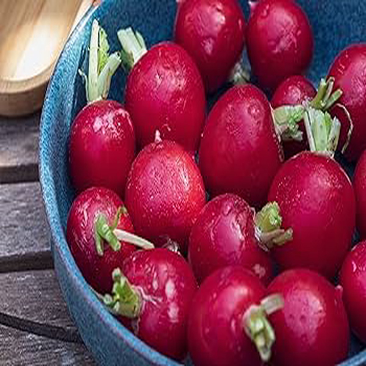 Radish Red Fruit & Vegetable Seeds for Planting Heirloom, Non-GMO, High Germination Organic Garden Seeds