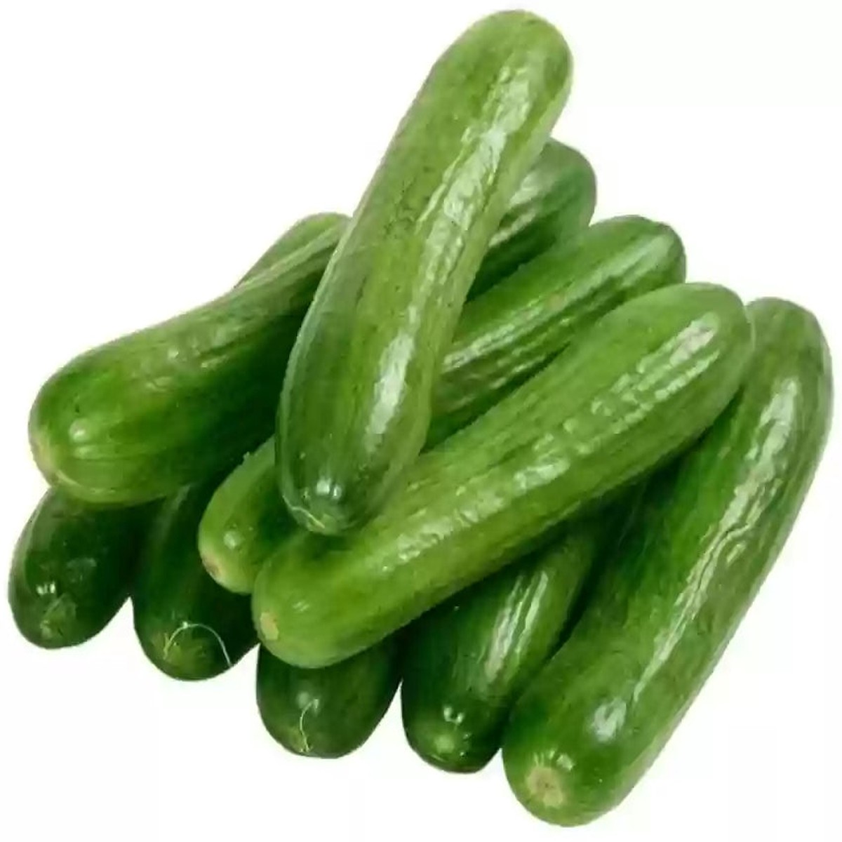 Arola Organic Cucumber Seeds for Planting Heirloom, Non-GMO, High Germination Vegetable Garden Seeds