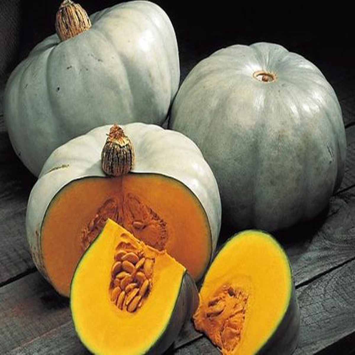 Centner Nelson Pumpkin Seeds for Planting Heirloom, Non-GMO, High Germination, Organic Garden Seeds