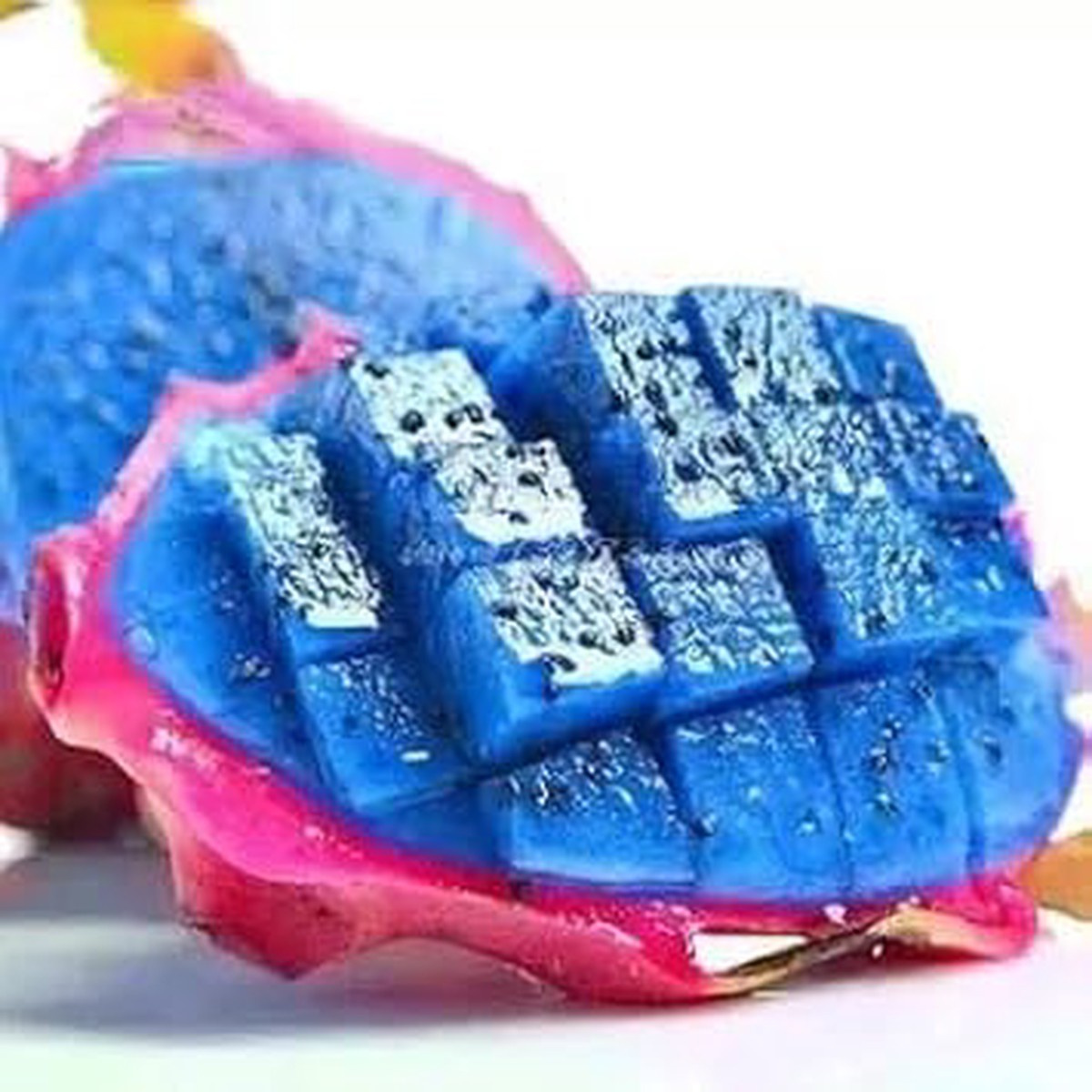 Fresh Blue Pitaya Fruit Seeds for Planting Easy to Grow, Heirloom, Non-GMO, High Germination Organic Garden Seeds