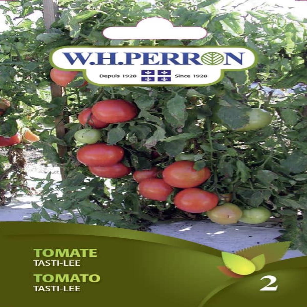 Semences de tomate rouge Tasti-Lee