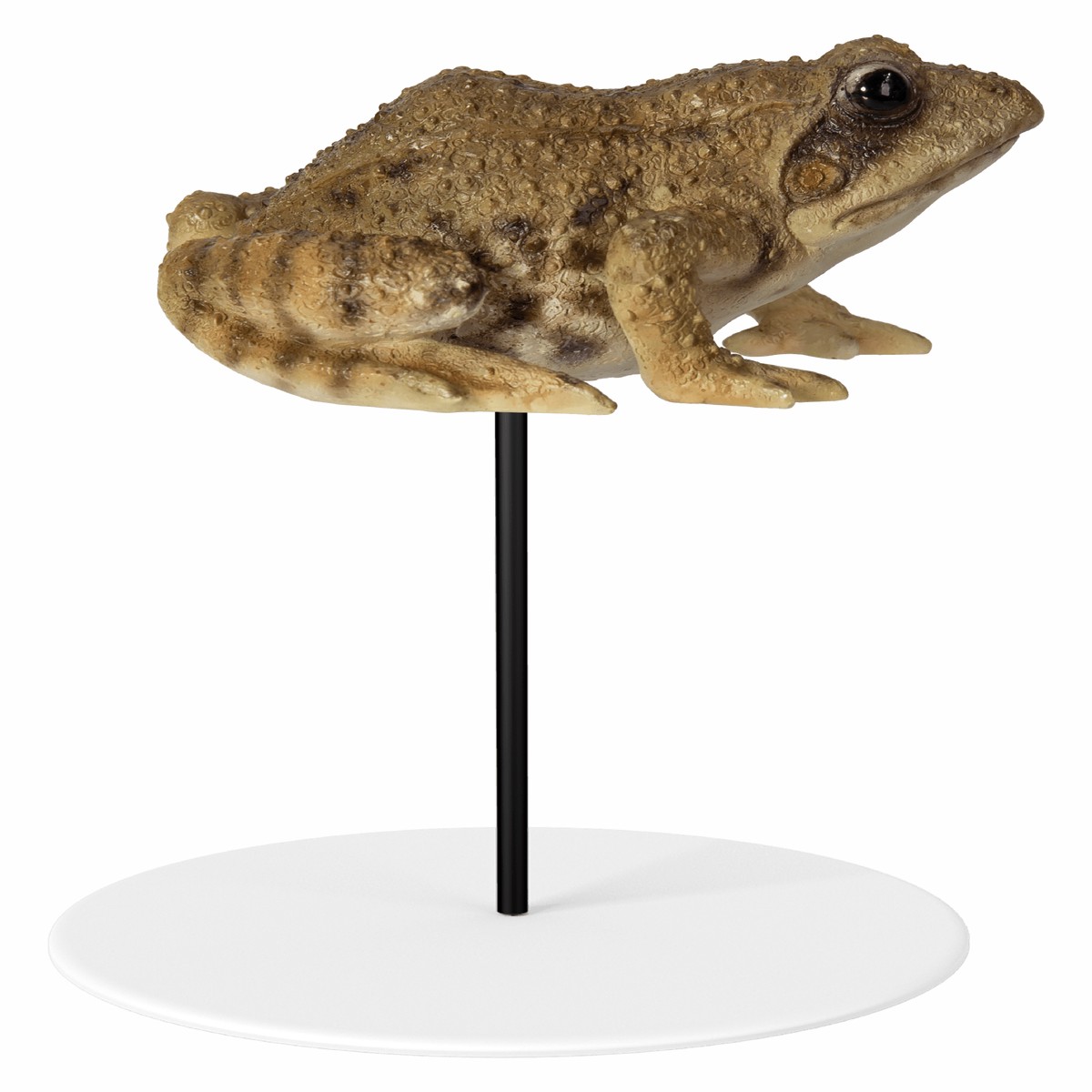Vivid Arts Plant Pal Frog