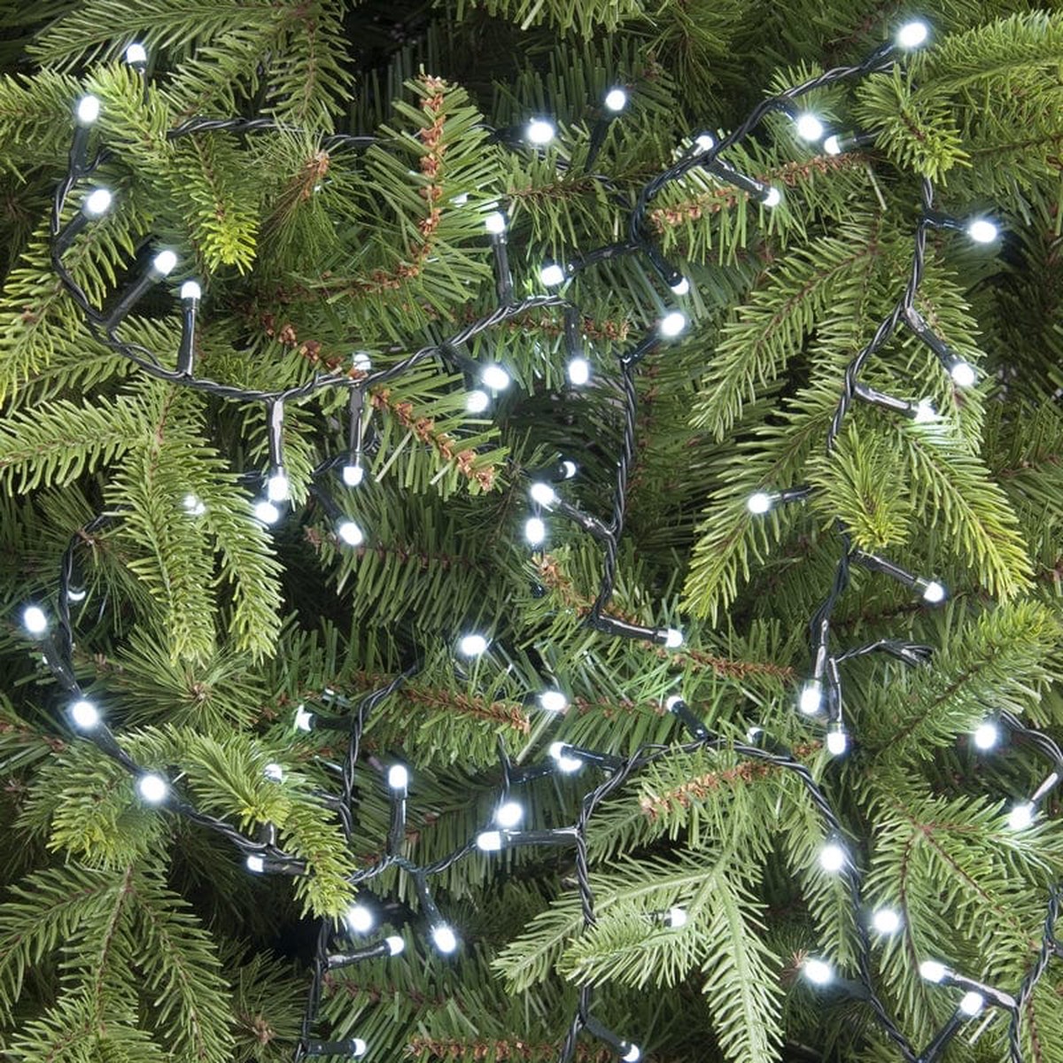 Festive White Timer String Lights 200L B/O